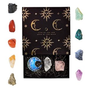 The Essential Healing Crystal Set from Love By Luna, 12 pc Healing Crystals and Healing Stones Kit, Chakra Stones and Crystals Set with Real Amethyst Crystal, Rose Quartz Crystal and Reiki Stones
